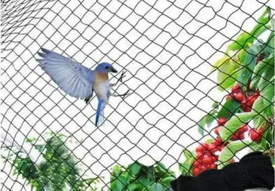 Anti Bird Nets in Hyderabad