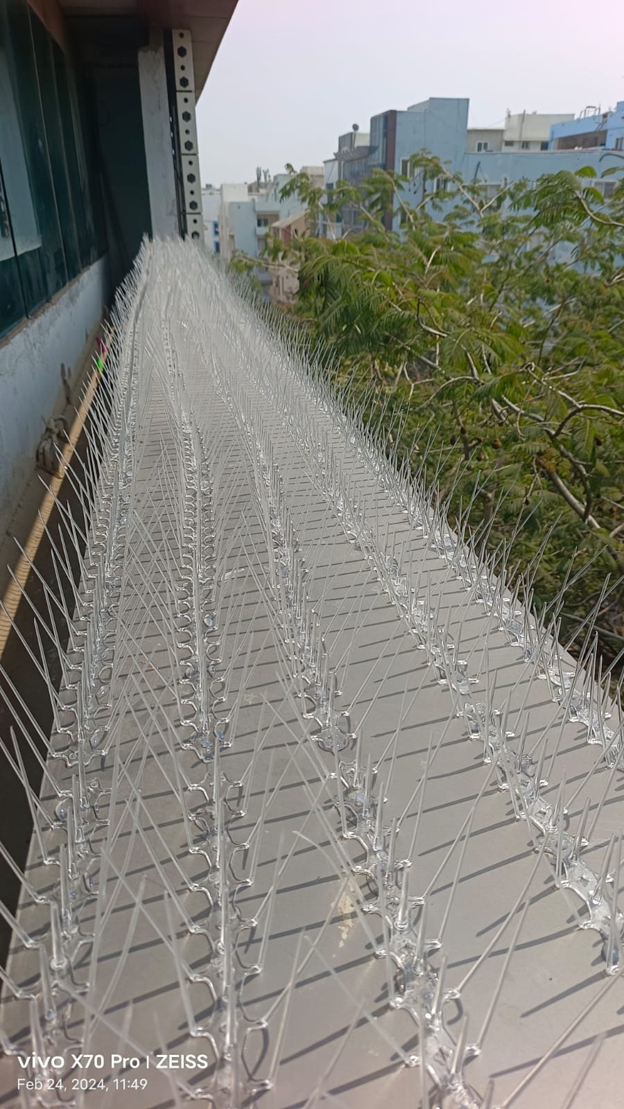 Bird Spikes Installation in Hyderabad