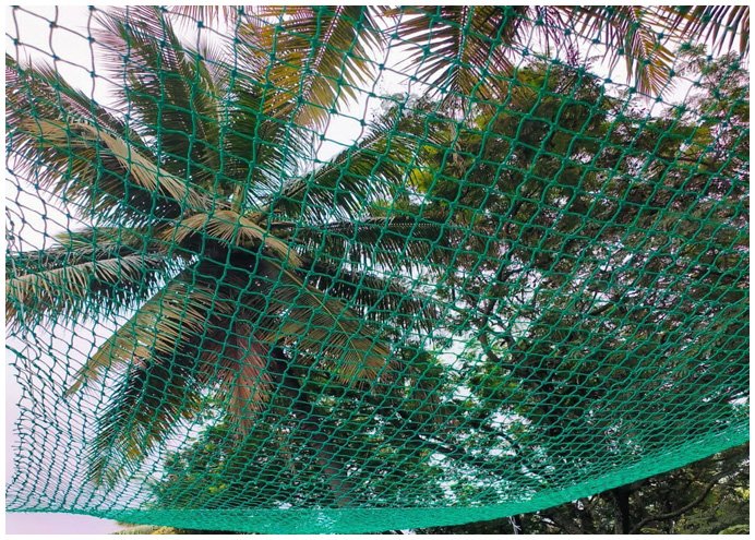 Coconut Tree Safety Nets in Hyderabad