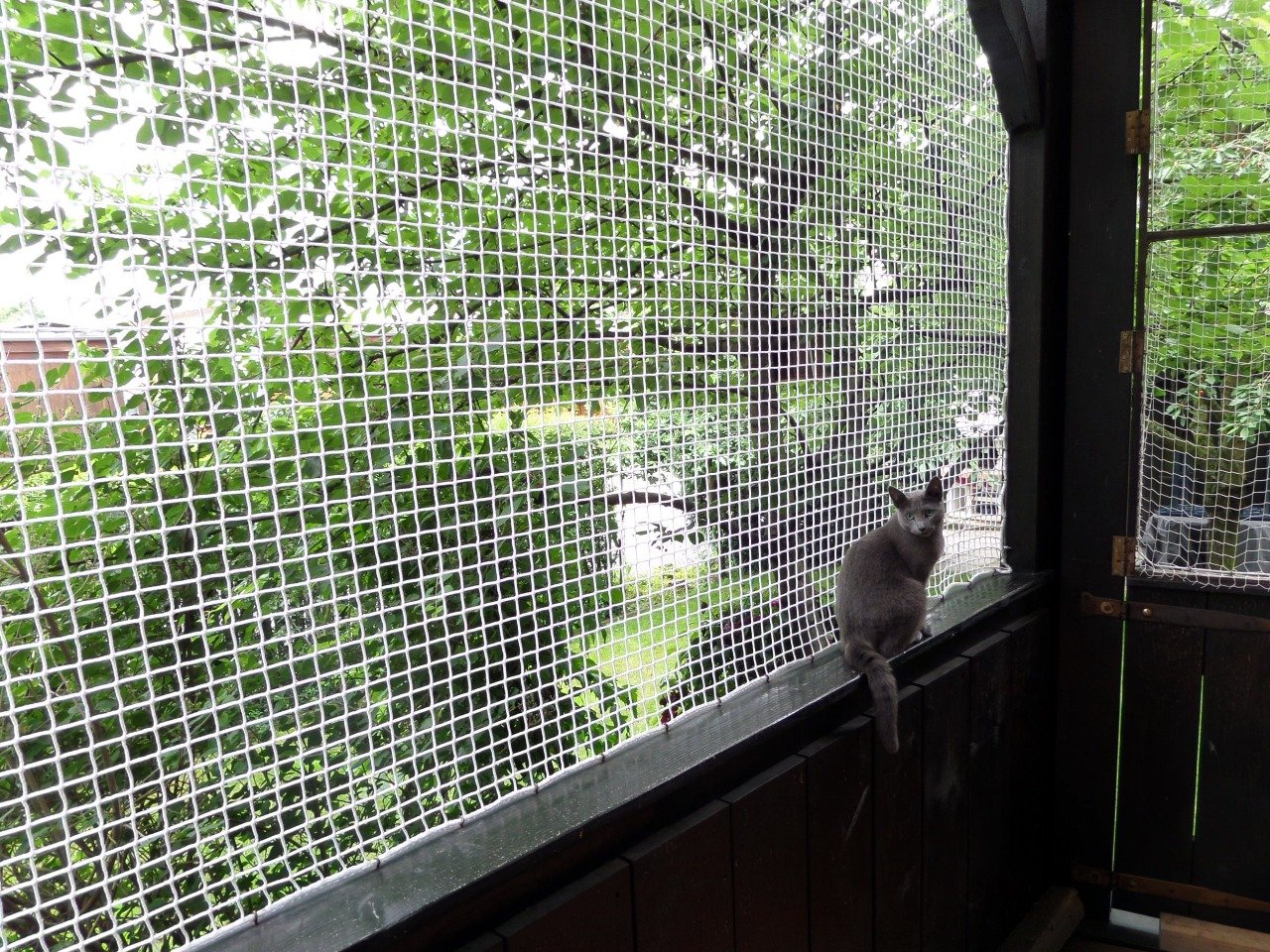 Best Pet Safety Nets Installation in Hyderabad