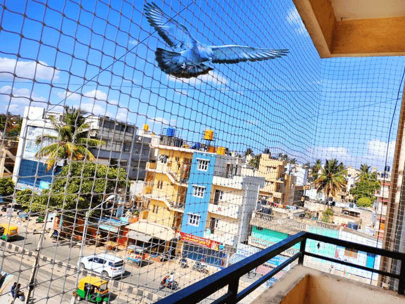 Pigeon Safety Nets in Hyderabad
